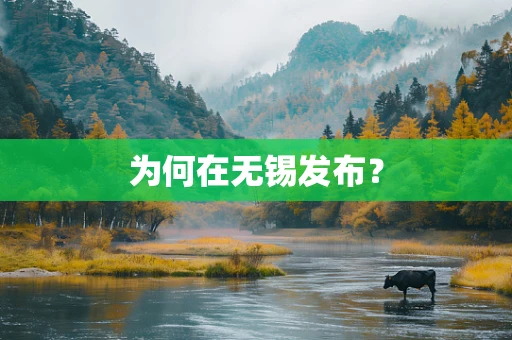 为何在无锡发布？