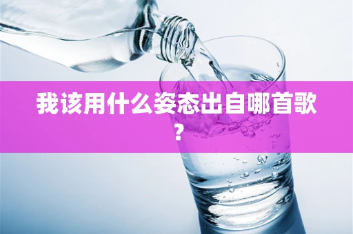 我该用什么姿态出自哪首歌？