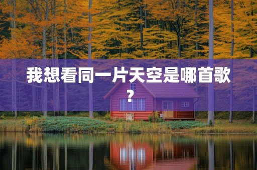 我想看同一片天空是哪首歌？