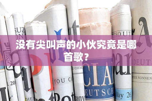 没有尖叫声的小伙究竟是哪首歌？