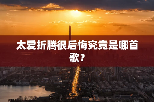 太爱折腾很后悔究竟是哪首歌？