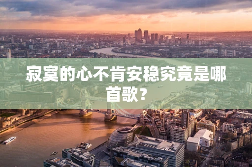 寂寞的心不肯安稳究竟是哪首歌？