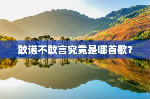 敢诺不敢言究竟是哪首歌？