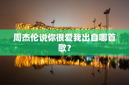周杰伦说你很爱我出自哪首歌？