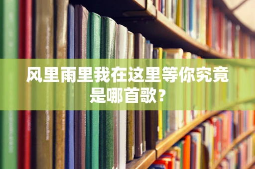 风里雨里我在这里等你究竟是哪首歌？