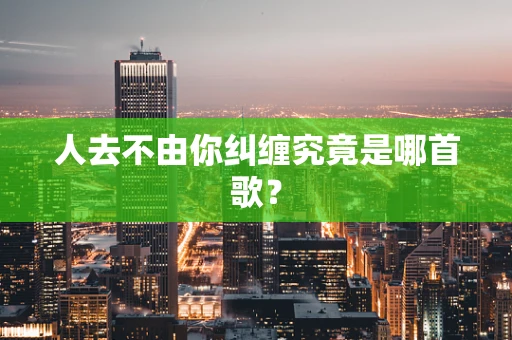人去不由你纠缠究竟是哪首歌？