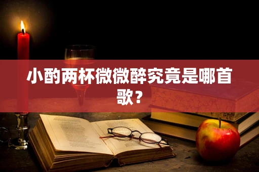 小酌两杯微微醉究竟是哪首歌？