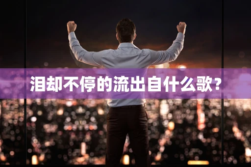 泪却不停的流出自什么歌？