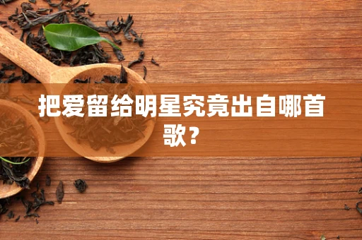 把爱留给明星究竟出自哪首歌？