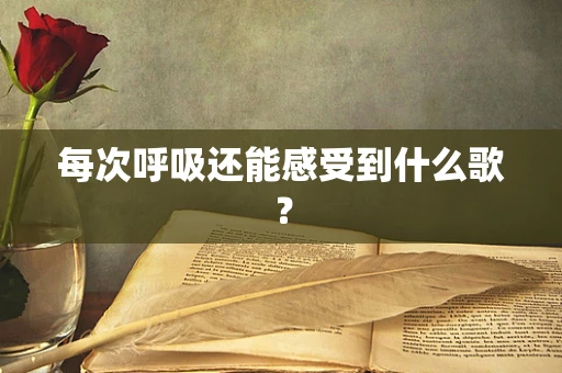 每次呼吸还能感受到什么歌？