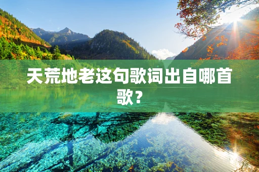 天荒地老这句歌词出自哪首歌？