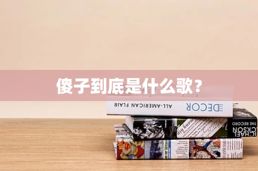 傻子到底是什么歌？