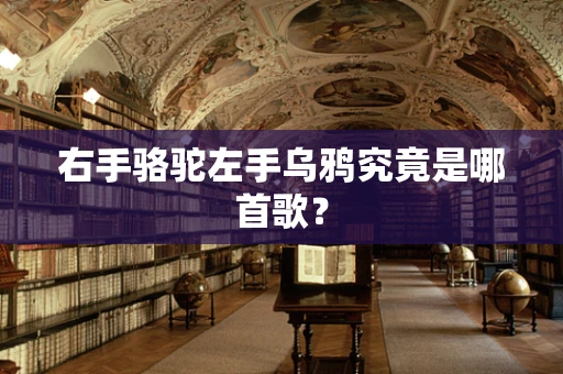 右手骆驼左手乌鸦究竟是哪首歌？