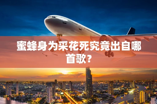 蜜蜂身为采花死究竟出自哪首歌？