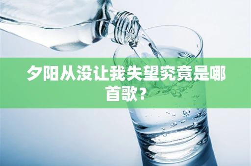 夕阳从没让我失望究竟是哪首歌？