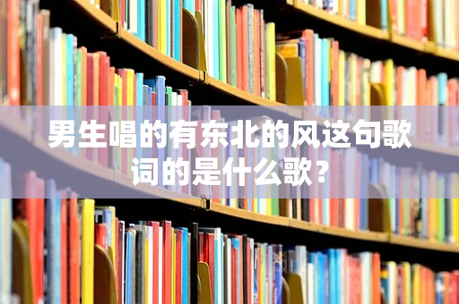 男生唱的有东北的风这句歌词的是什么歌？