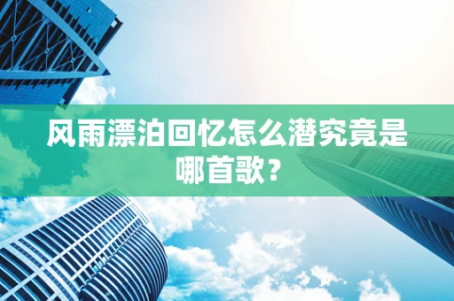 风雨漂泊回忆怎么潜究竟是哪首歌？