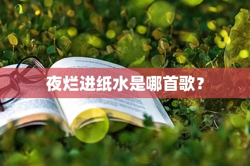 夜烂进纸水是哪首歌？
