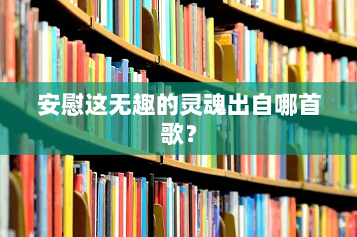 安慰这无趣的灵魂出自哪首歌？