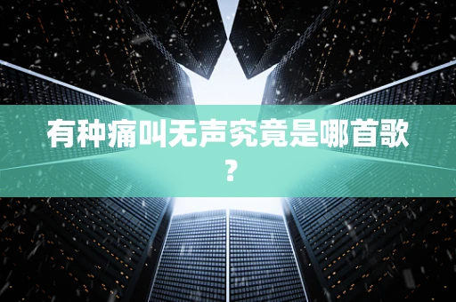 有种痛叫无声究竟是哪首歌？