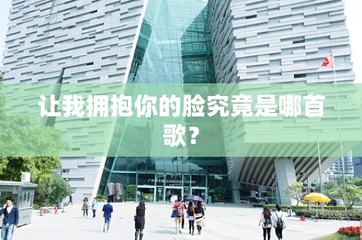 让我拥抱你的脸究竟是哪首歌？