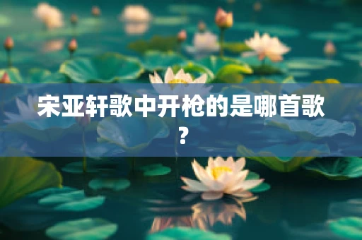 宋亚轩歌中开枪的是哪首歌？