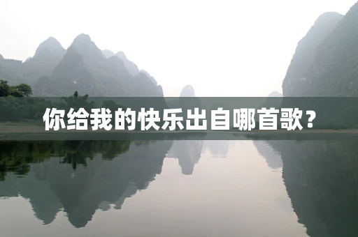 你给我的快乐出自哪首歌？