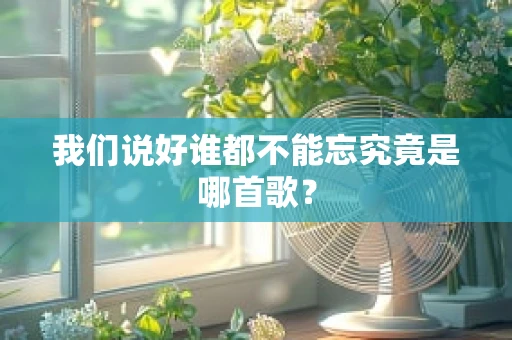 我们说好谁都不能忘究竟是哪首歌？