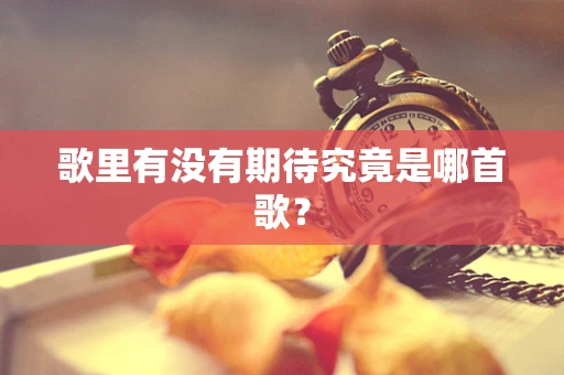 歌里有没有期待究竟是哪首歌？