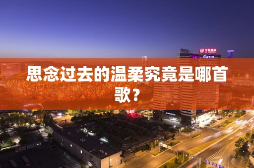 思念过去的温柔究竟是哪首歌？