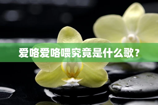 爱咯爱咯喂究竟是什么歌？