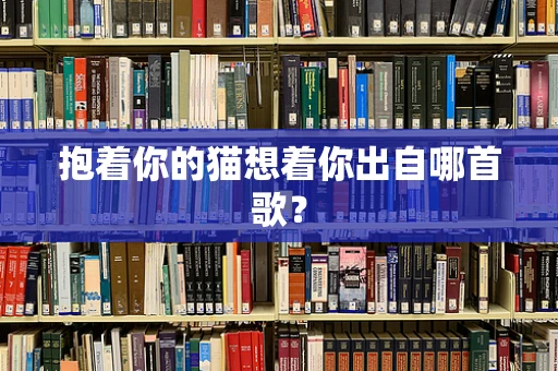 抱着你的猫想着你出自哪首歌？