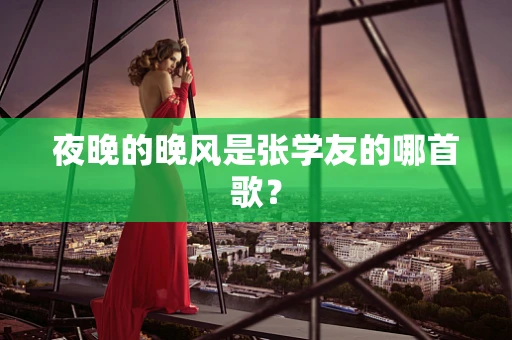 夜晚的晚风是张学友的哪首歌？