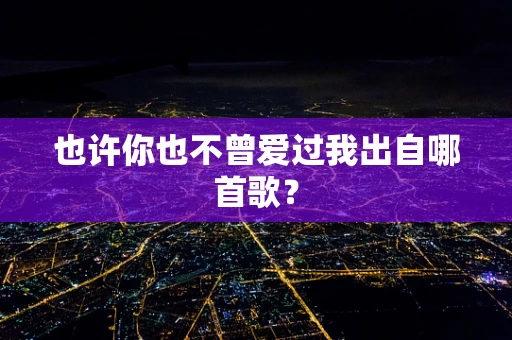 也许你也不曾爱过我出自哪首歌？