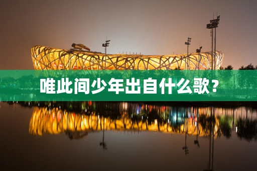唯此间少年出自什么歌？
