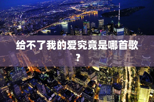 给不了我的爱究竟是哪首歌？