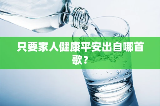 只要家人健康平安出自哪首歌？