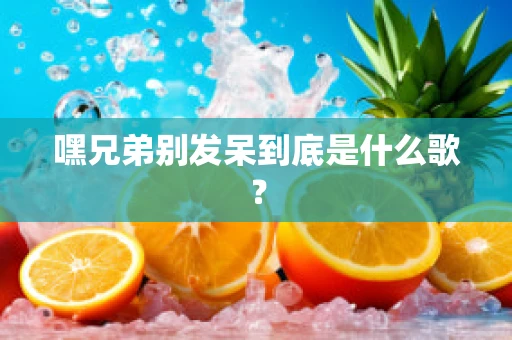 嘿兄弟别发呆到底是什么歌？