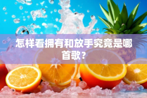 怎样看拥有和放手究竟是哪首歌？