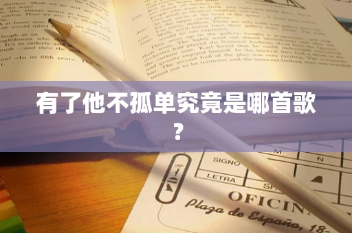 有了他不孤单究竟是哪首歌？