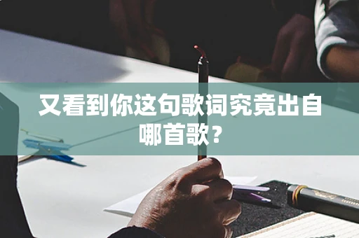 又看到你这句歌词究竟出自哪首歌？