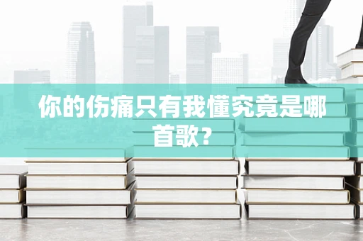 你的伤痛只有我懂究竟是哪首歌？