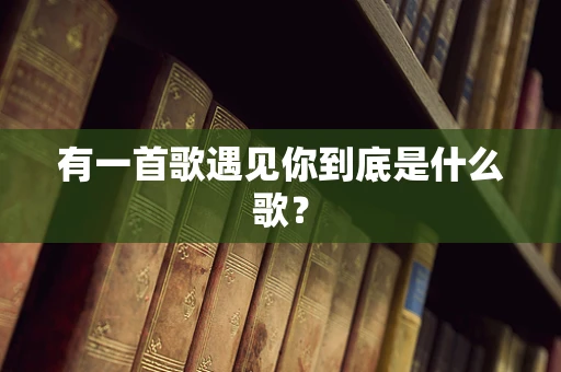 有一首歌遇见你到底是什么歌？