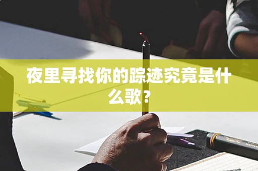 夜里寻找你的踪迹究竟是什么歌？