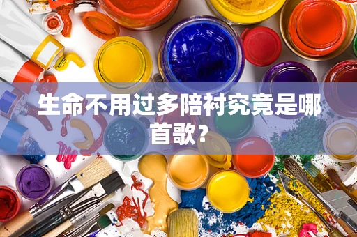 生命不用过多陪衬究竟是哪首歌？