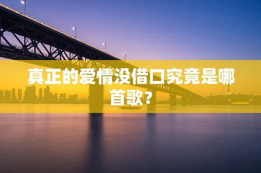 真正的爱情没借口究竟是哪首歌？