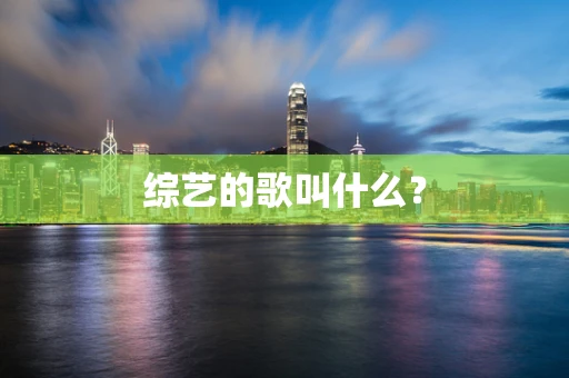 综艺的歌叫什么？