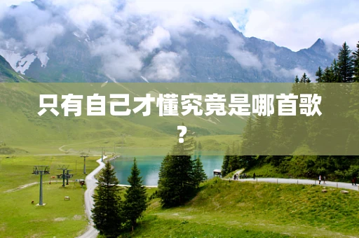 只有自己才懂究竟是哪首歌？