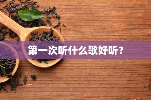 第一次听什么歌好听？