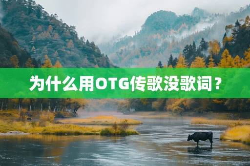 为什么用OTG传歌没歌词？